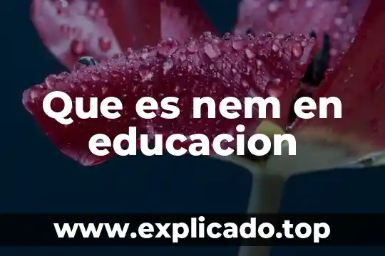 Que es un plan en educación 7 Que es nem en educacion