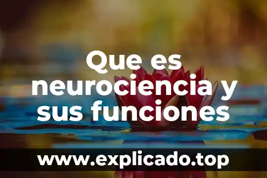 Qué es una línea tipográfica 5 Que es neurociencia y sus funciones