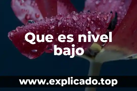 Qué es el bajo relieve en el arte 4 Que es nivel bajo
