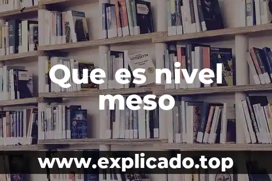 Qué es el nivel silábico 3 Que es nivel meso