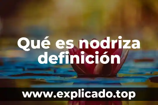 Que es la disyunción definicion 6 Qué es nodriza definición