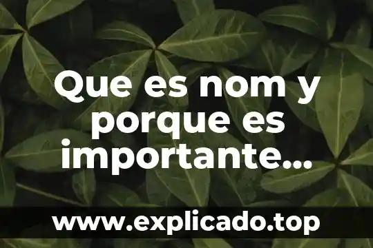 Que es una perrilla y porque sale 8 Que es nom y porque es importante para las empresas
