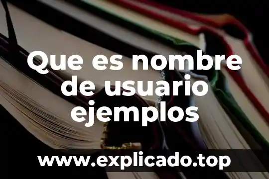 Que es devexpress e interfaz grafica de usuario 5 Que es nombre de usuario ejemplos