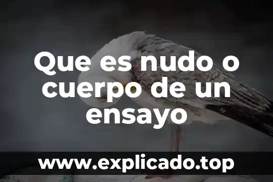 Qué es impronta personal 7 Que es nudo o cuerpo de un ensayo