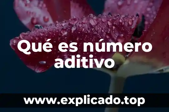 Definicion de que es un numero euler 4 Qué es número aditivo