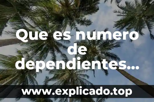 Definicion de que es un numero euler 3 Que es numero de dependientes economicos