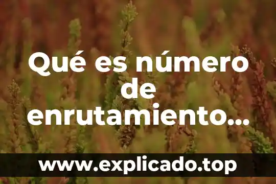 Qué es inverso de un número 4 Qué es número de enrutamiento número de enrutamiento aba
