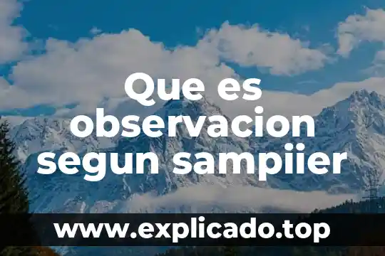 Que es el rif segun el sat 5 Que es observacion segun sampiier