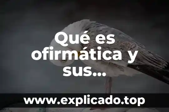 Qué es el enamoramiento características y tipos 7 Qué es ofirmática y sus características