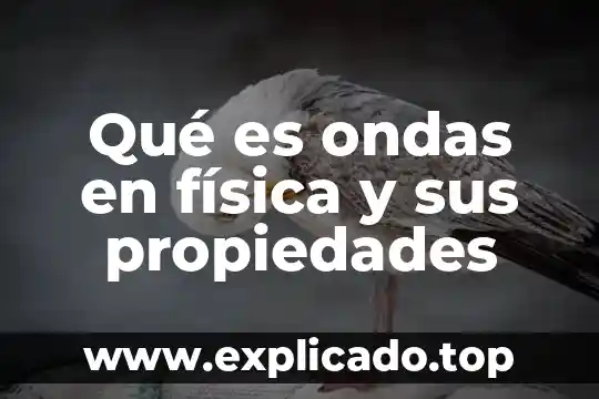 Que es el agua y sus propiedades fisicas ejemplos 4 Qué es ondas en física y sus propiedades