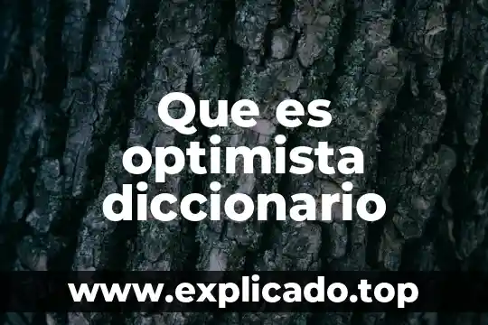 Que es kamikaze diccionario 3 Que es optimista diccionario
