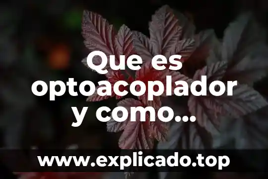 Que es y como funciona una licencia informatica 3 Que es optoacoplador y como funciona