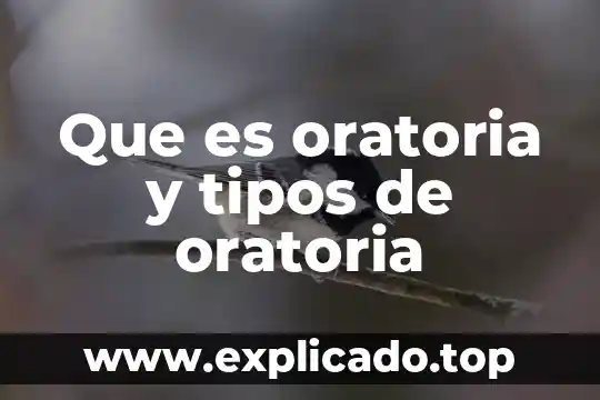Que es oratoria y tipos de oratoria