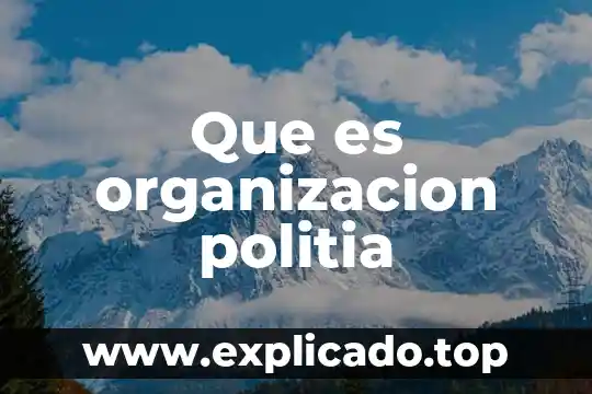 Que es organizacion politia