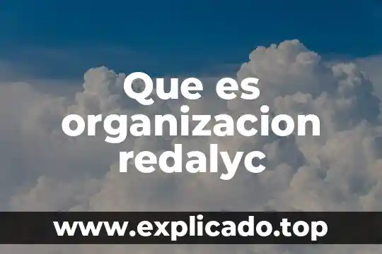 Que es investigacion correlacional redalyc 3 Que es organizacion redalyc