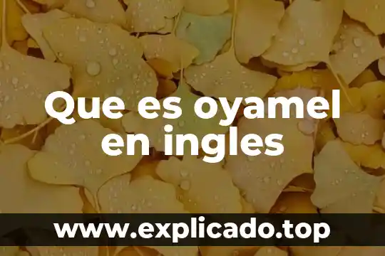 Que es oyamel en ingles
