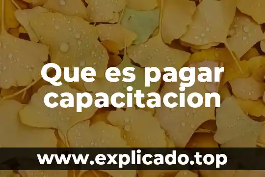 Que es pagar capacitacion