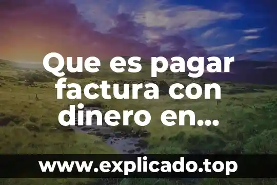 Que es la cuenta de explotación 8 Que es pagar factura con dinero en cuenta mercadopago