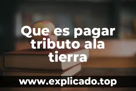 Que es derecho ala trabajo 4 Que es pagar tributo ala tierra