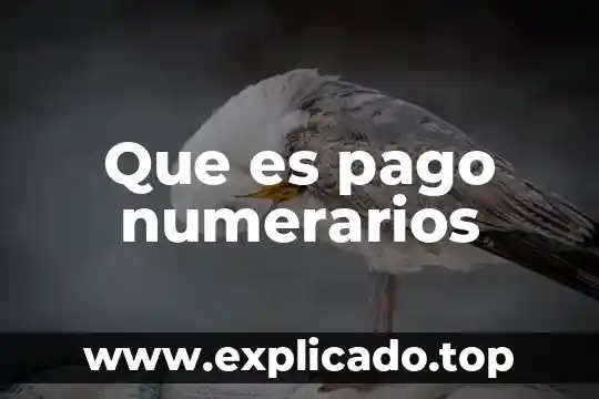 Sistemas de pago que es 4 Que es pago numerarios