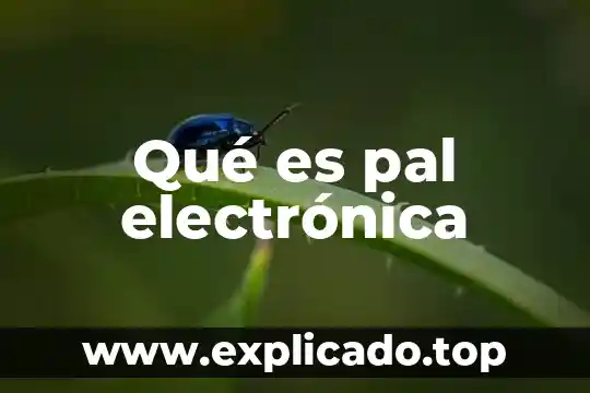 Que es un electrodo en la electronica 4 Qué es pal electrónica