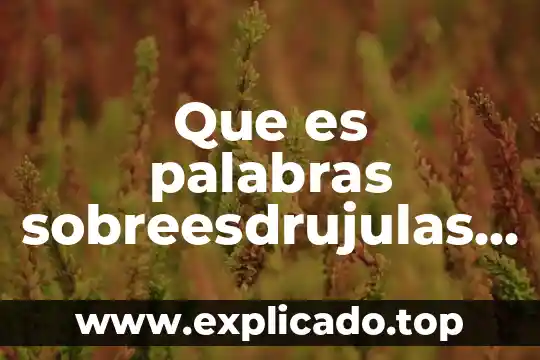 Que es un esquema de palabras 6 Que es palabras sobreesdrujulas definicion