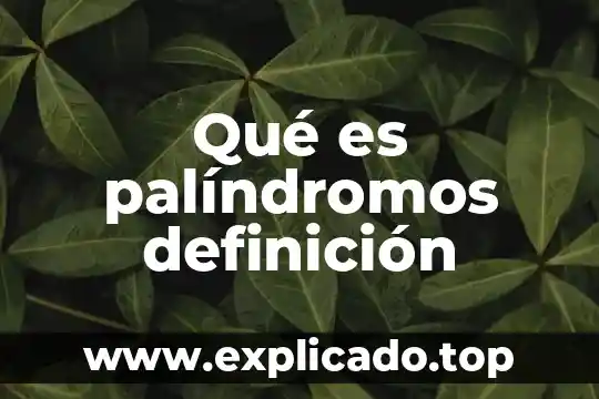 Que es un yeti definicion 3 Qué es palíndromos definición