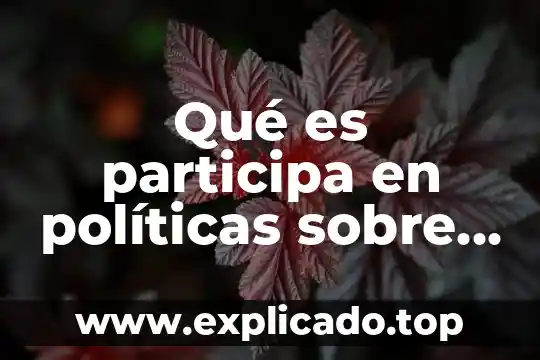 Que es sexualidad en biologia 4 Qué es participa en políticas sobre sexualidad