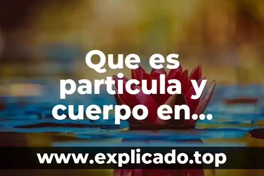 Concepto de que es una particula microscopica 4 Que es particula y cuerpo en mecanica