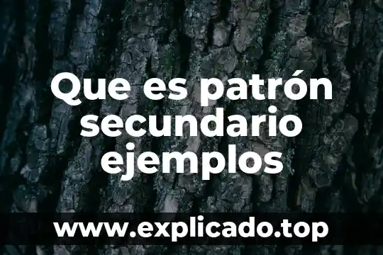 Qué es un organismo unicelular y pluricelular ejemplos 7 Que es patrón secundario ejemplos