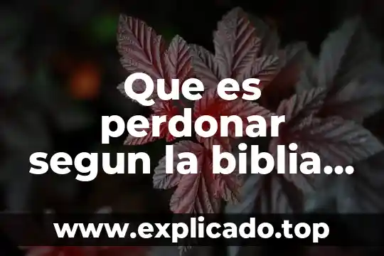 Que es basilisco en la biblia 6 Que es perdonar segun la biblia catolica