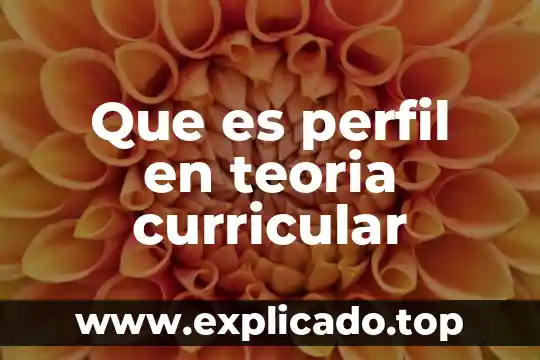 Que es el desarrollo curricular sena 6 Que es perfil en teoria curricular
