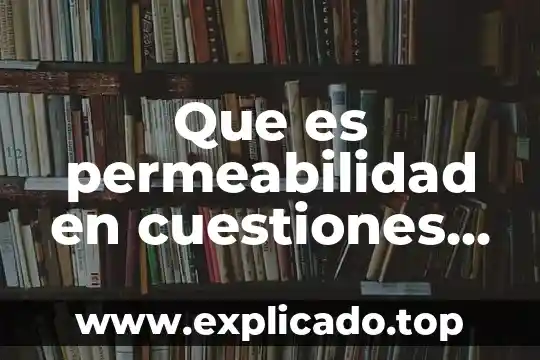 Qué es paranoide en psicología 3 Que es permeabilidad en cuestiones de psicologia