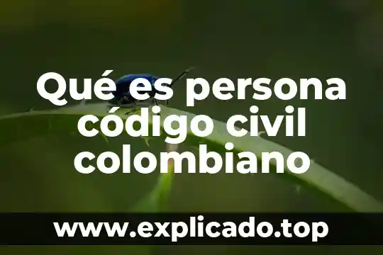 Qué es chaparro en el diccionario colombiano 6 Qué es persona código civil colombiano