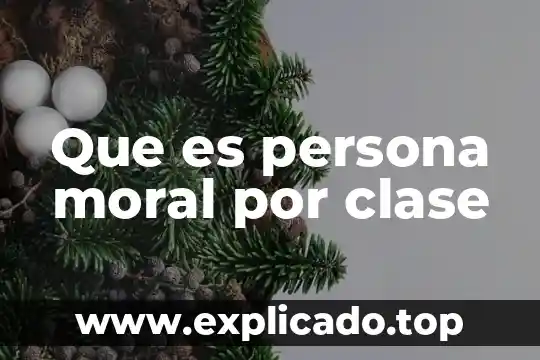 Que es el desarrollo moral en enfermeria 8 Que es persona moral por clase