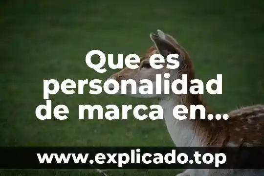 Que es la marca db 6 Que es personalidad de marca en mercadotecnia