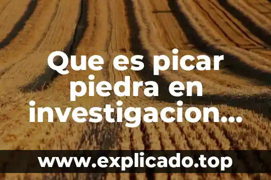 Qué es una pregunta de investigación y cómo plantearla 6 Que es picar piedra en investigacion cientifica