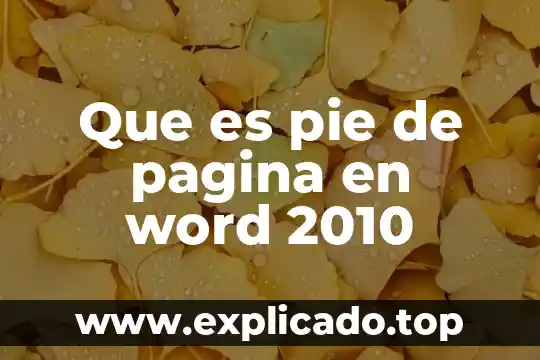 Qué es un pie cuadrado 5 Que es pie de pagina en word 2010