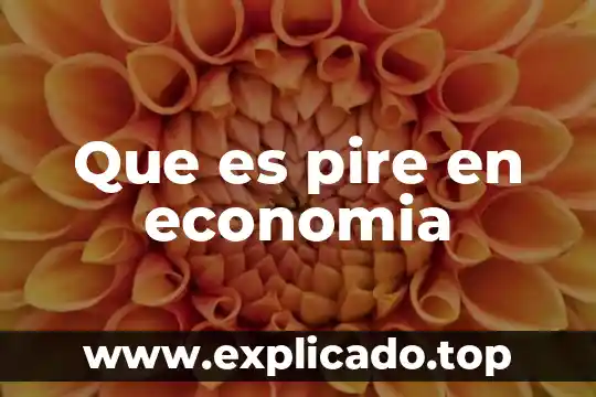Que es la pet en economia 3 Que es pire en economia
