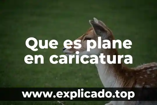 Qué es buena alimentación caricatura 4 Que es plane en caricatura