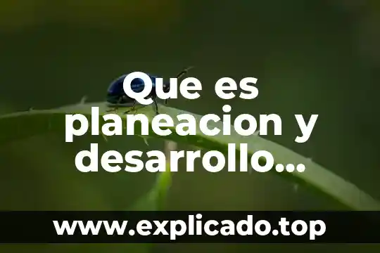 Que es un plan de desarrollo turístico municipal 5 Que es planeacion y desarrollo municipal