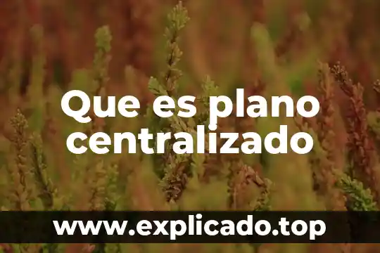 Qué es el plano caudal 8 Que es plano centralizado