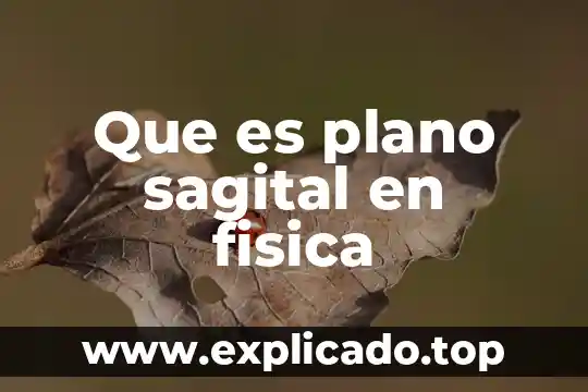 Que es persona fisica con actividad empresarial por asimilados 5 Que es plano sagital en fisica