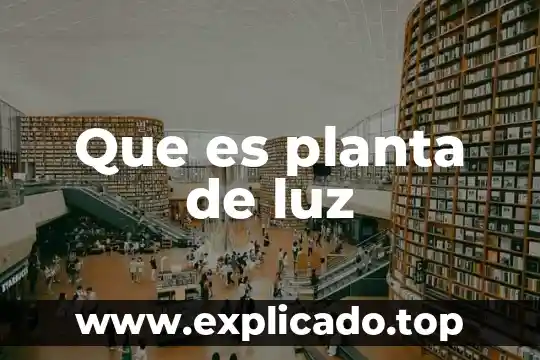 Que es quelite planta 8 Que es planta de luz