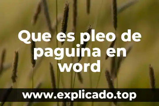 Clichés que es en el arte word 3 Que es pleo de paguina en word