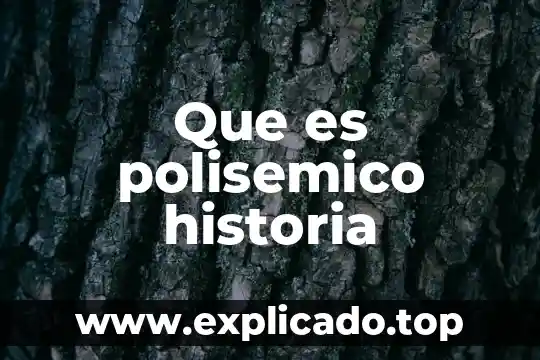 Que es la polisemia en la historia 3 Que es polisemico historia