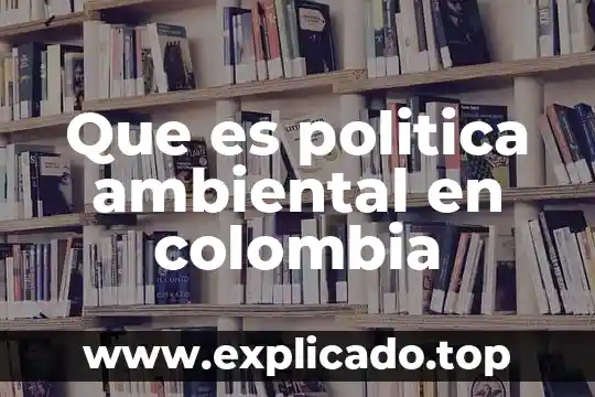 Que es la complejidad ambiental número de interfases externas 5 Que es politica ambiental en colombia