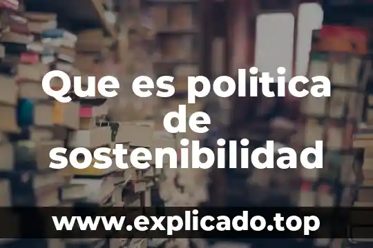 Que es politica de sostenibilidad