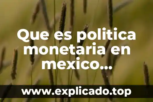 Que es la devaluacion monetaria en mexico 2018 4 Que es politica monetaria en mexico restrictiva o expansiva