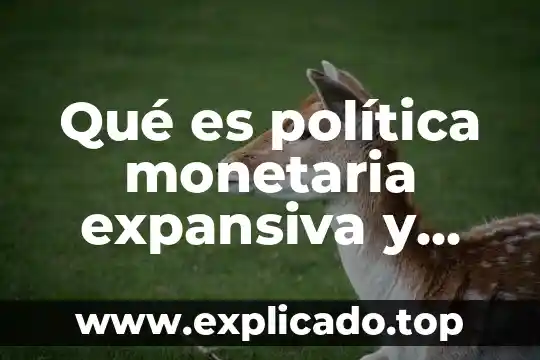 Que es la devaluacion monetaria en mexico 2018 8 Qué es política monetaria expansiva y contractiva